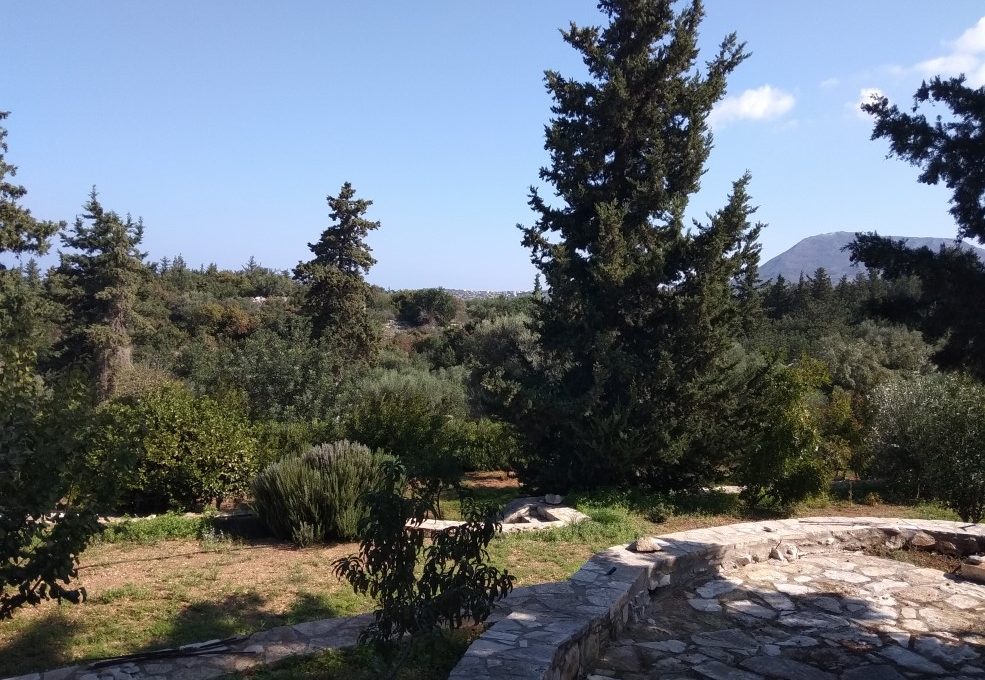 Luxury-stone-villa-for-sale-in-Douliana-Apokoronas-Chania-Crete-with-lots-of-trees-7048469c