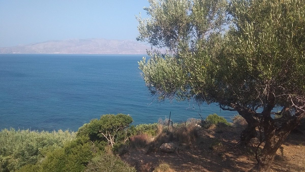 Plot-of-land-in-Chania-Crete-for-sale-just-50-mtrs-from-the-sea-CL071