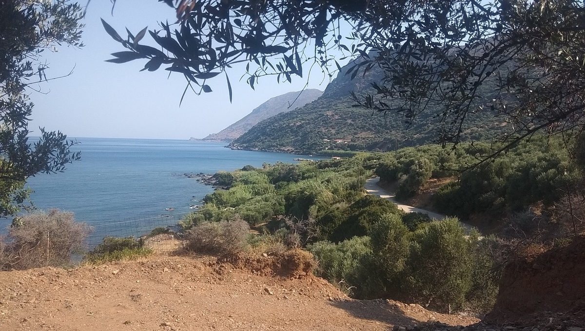 Plot-of-land-in-Chania-Crete-for-sale-with-amazing-sea-views-CL071