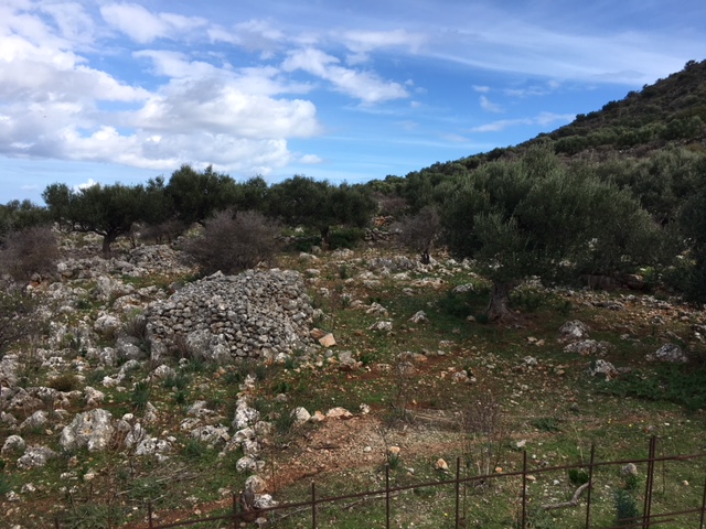 Land-for-sale-in-Kokkino-Chorio-Apokoronas-Chania-Crete-with-mountain-view-1-b189b979