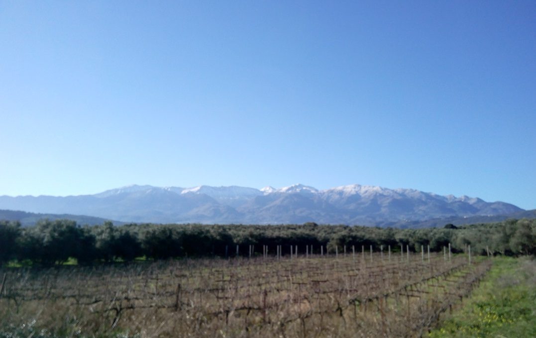 Land-for-sale-with-mountain-view-in-Crete-7a43bb90