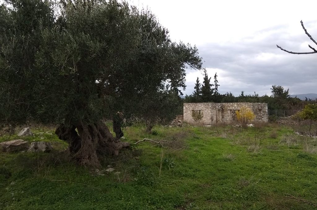 Property-for-sale-in-Apokoronas-3ef16a0a