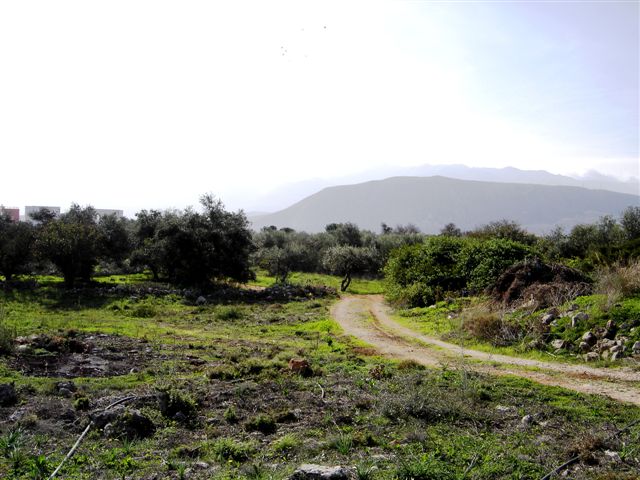 land-in-Chania-Crete-for-sale1-7e52250c