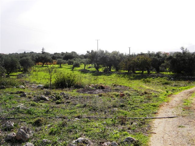 land-plot-in-Chania-Crete-for-sale-5291ed70