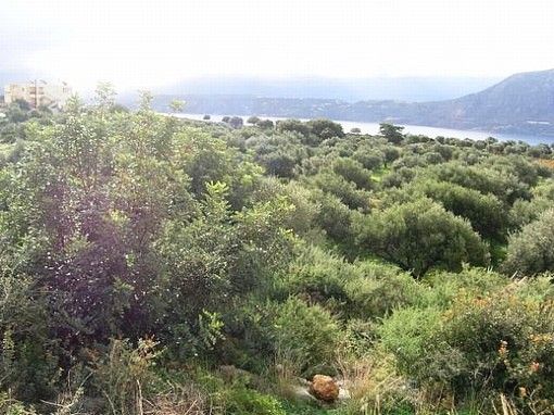 land-plot-in-Chania-Crete-for-sale1-baab995e