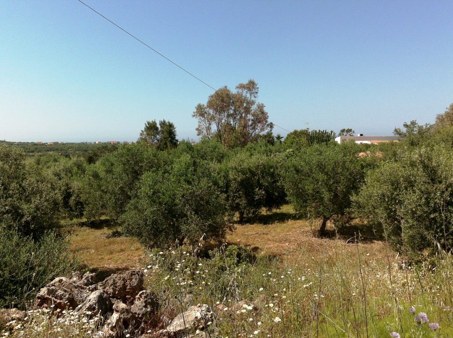 land-property-in-Crete-Chania-for-sale-9dda41ee