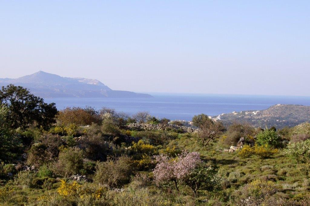 sloping-plot-of-land-for-sale-in-Apokoronas-with-sea-and-mountain-view-28fba851