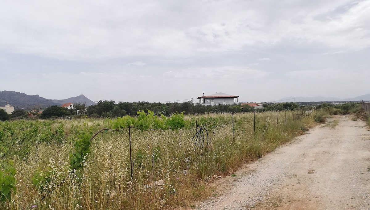 Plot-of-land-for-sale-in-stavros-akrotiri-Crete-al2660006