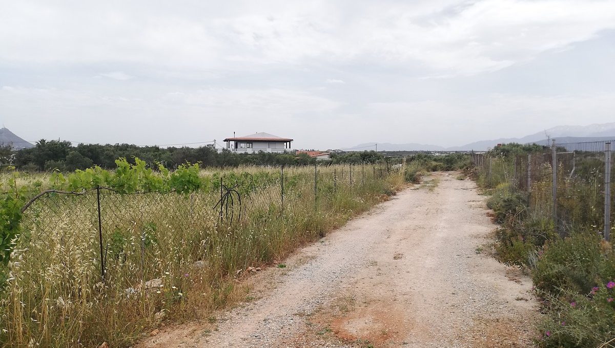 Plot-of-land-for-sale-in-stavros-akrotiri-Crete-al2660010