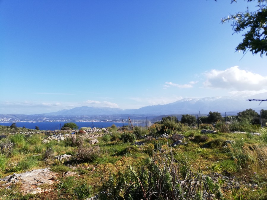 land-for-sale-in-sternes-chania-al264IMG_20210408_173400